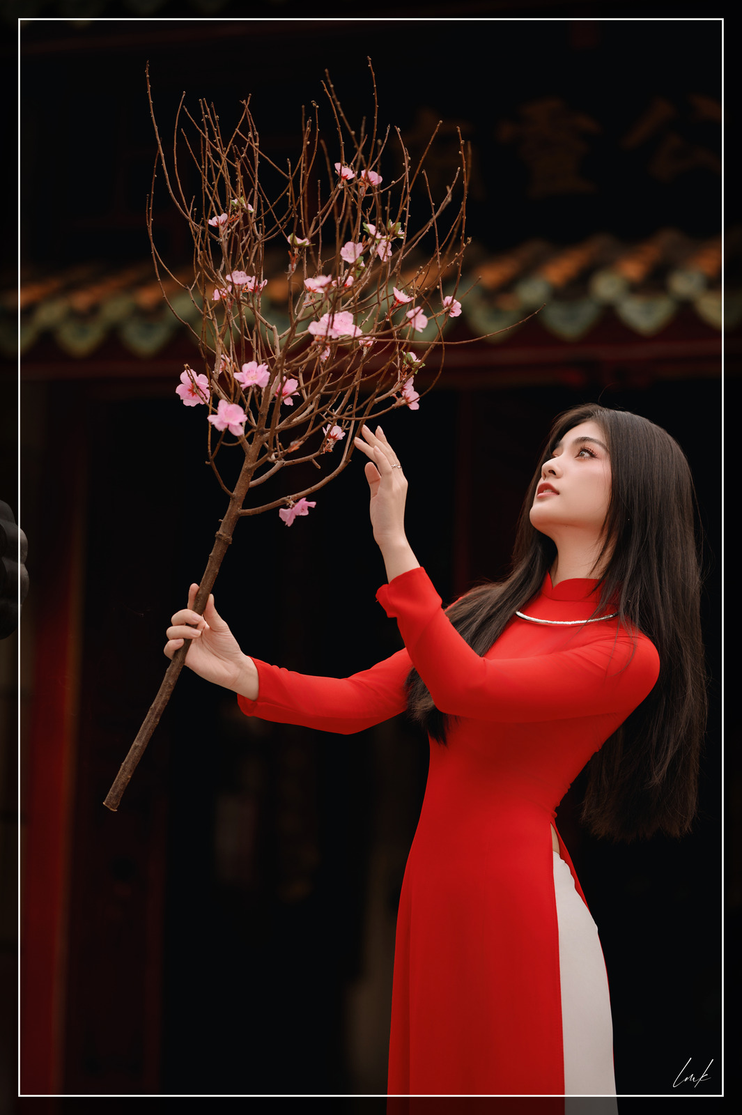 Nét Việt Bên Mùa Hoa