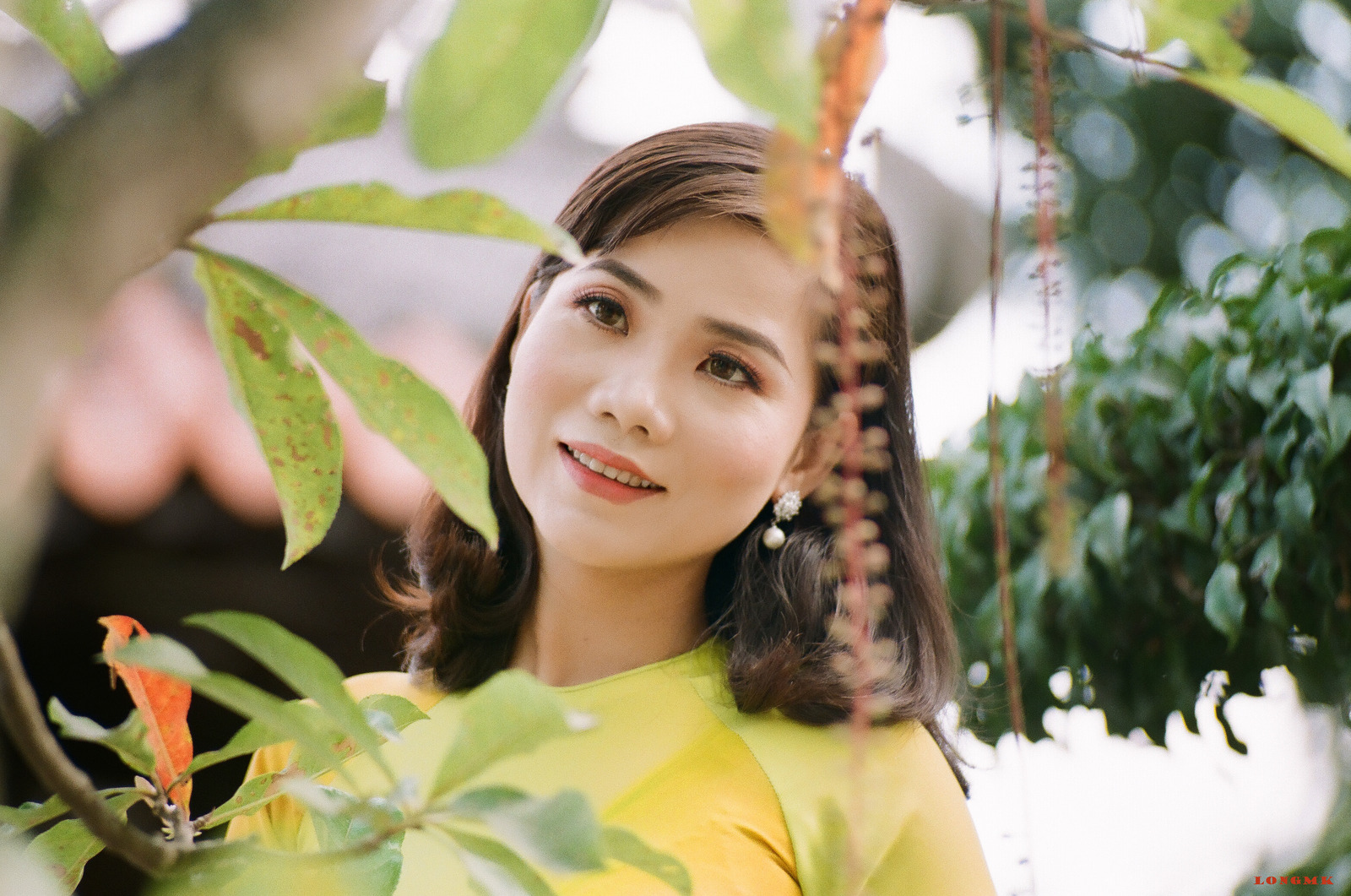 Một Chút Hoài Niệm