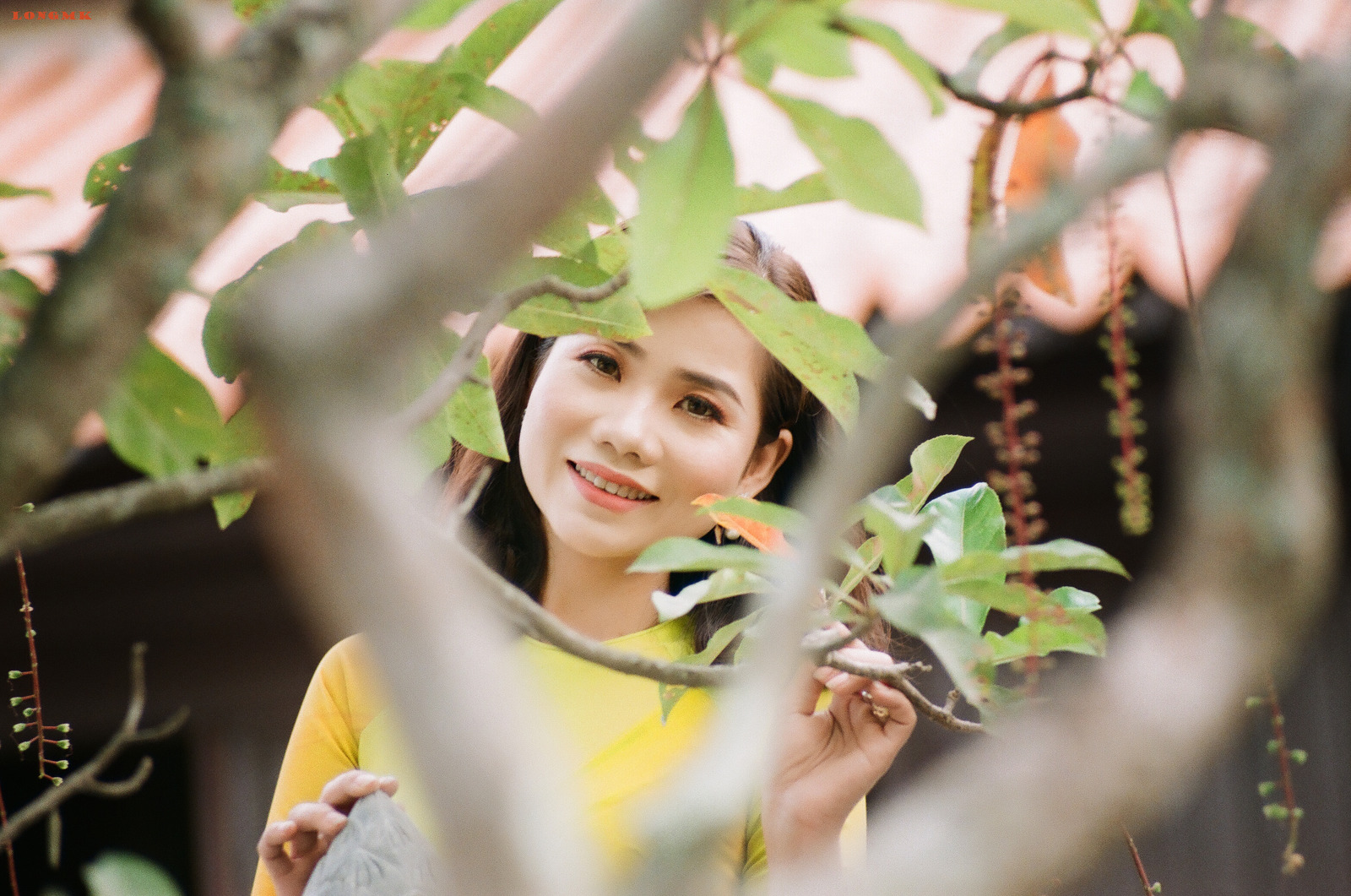 Một Chút Hoài Niệm