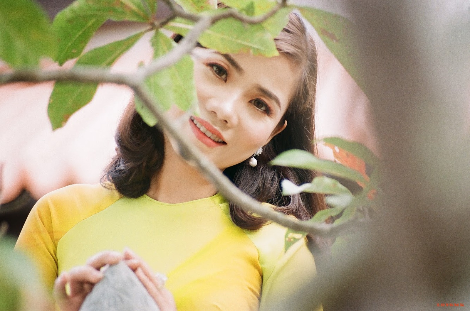 Một Chút Hoài Niệm
