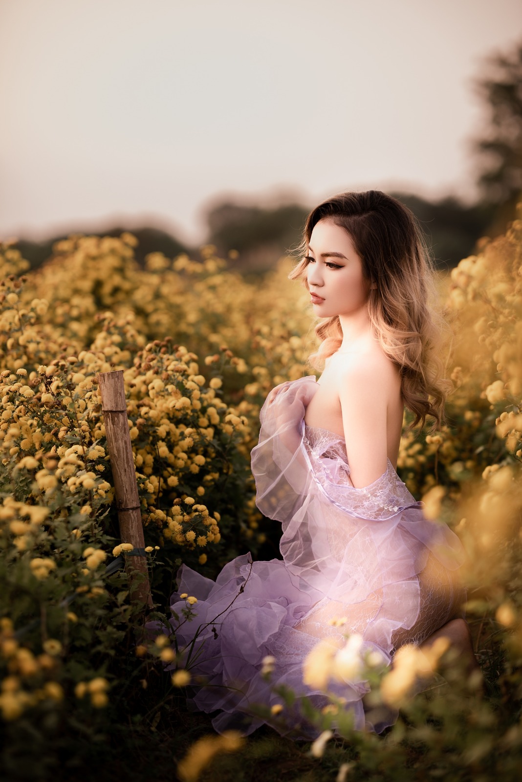 Nơi Cảm Xúc Lên Hình